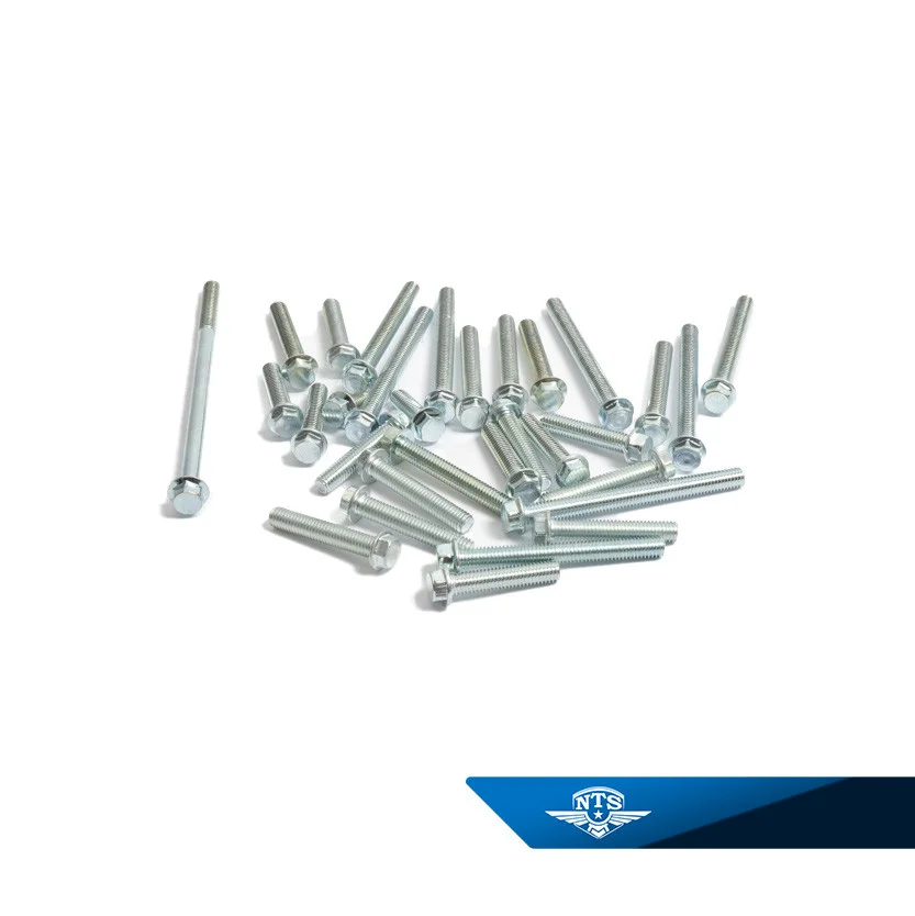 Skruvsats, Motor NTS för Honda MB50/MT50