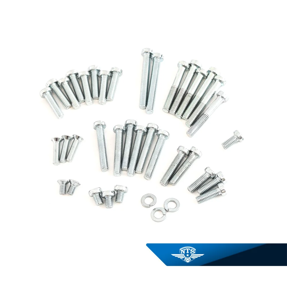 Skruvsats Motor Sachs, 2 & 3 växlade