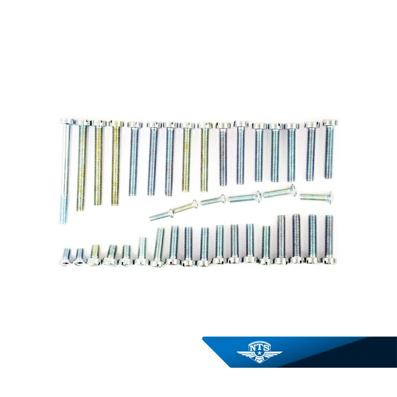 Skruvsats Motor Sachs