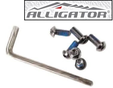 Skruvsats Torx till Bromsskiva.