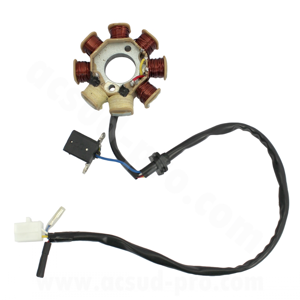 Tändplatta / Stator – GY6 50 4T Euro 3 (139QMA/139QMB)