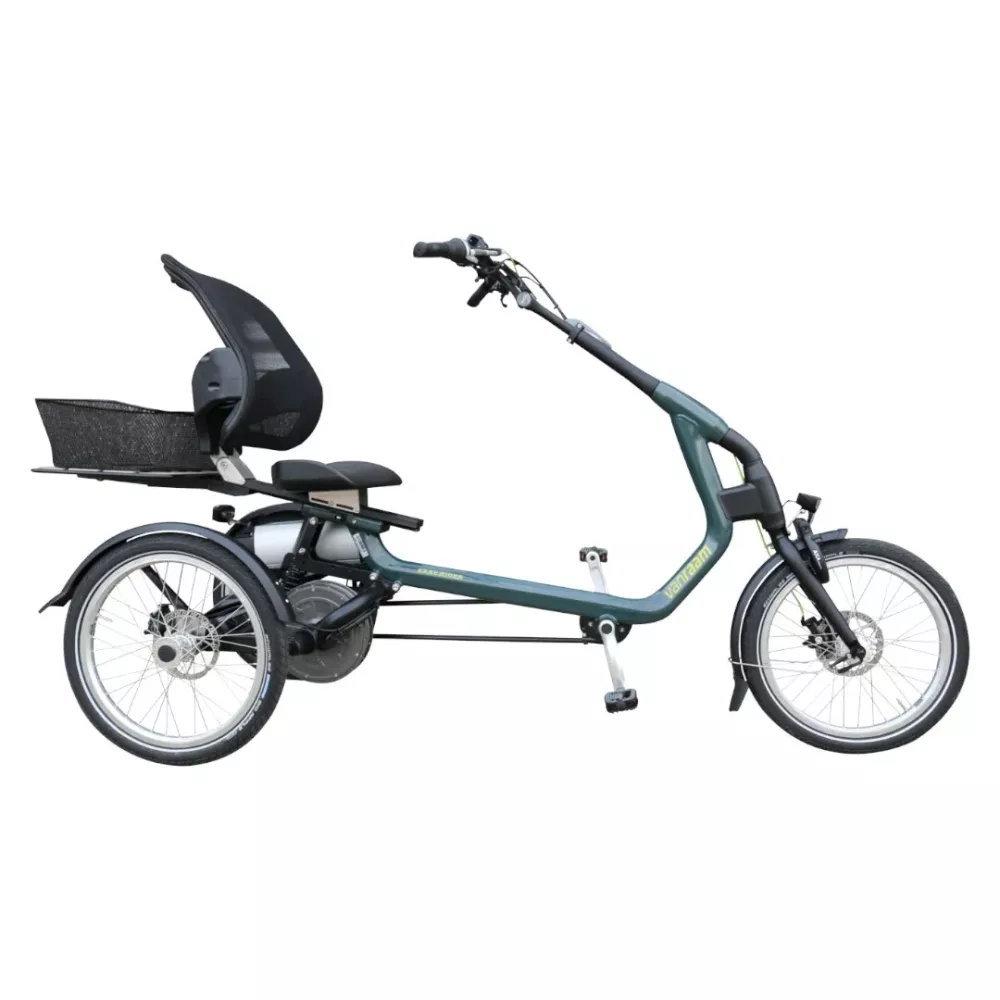 Van Raam Easy Rider tricycle