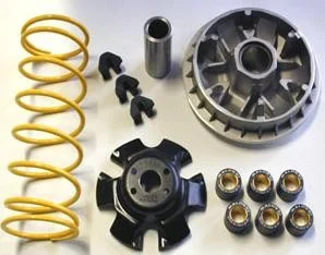 Variator, Multivar, Malossi