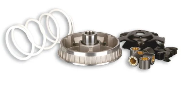 Variatorkit - Malossi mulitvar