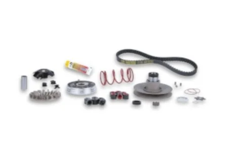 Variator over range Malossi