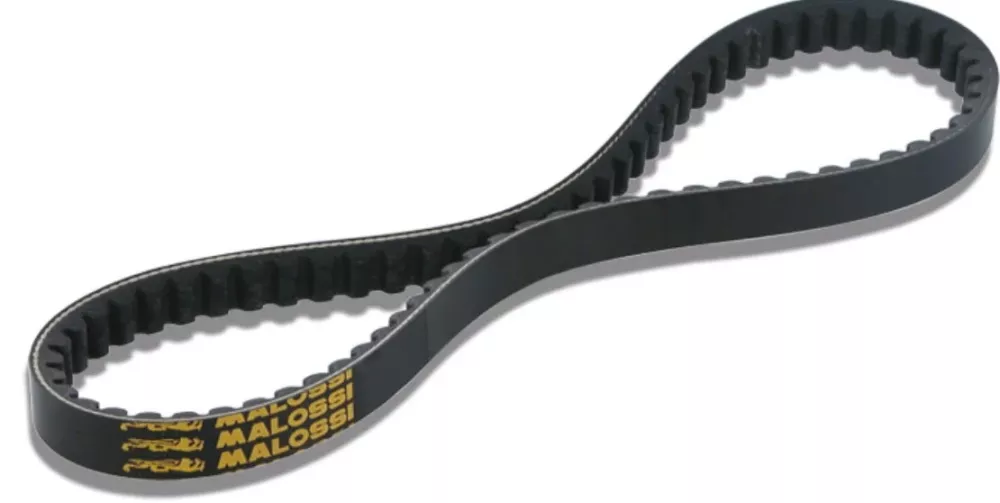 Variatorrem Malossi X K belt