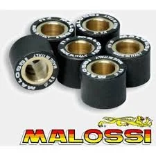 VARIATORVIKTER 28X19,9 21GR