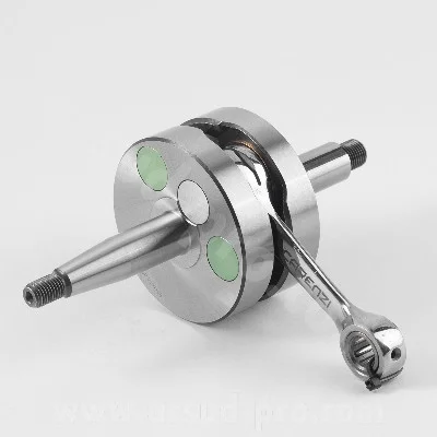 Vevparti AM6 Carenzi