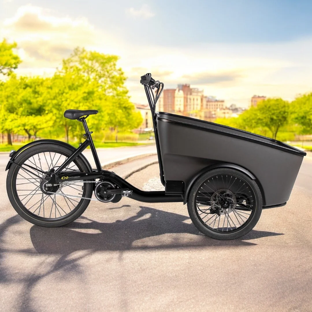 Centurion E Street Unisex 48cm Mattsvart inkl. batteri 17,4