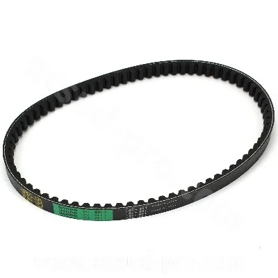 Drivrem Peugeot 729X18X8.5