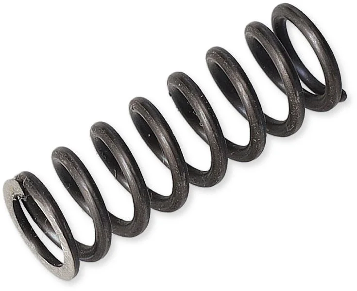 Fjäder vid Växeltrumma AM6