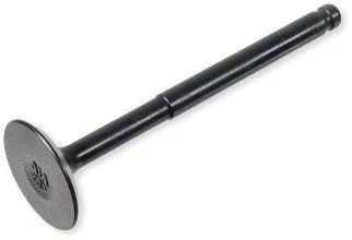 Insugsventil Peugeot Kisbee