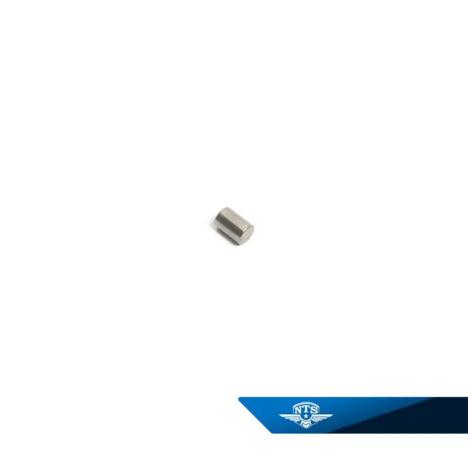 Lagerrulle Made by NTS 4x6mm Sachs 50/3 & 50/4