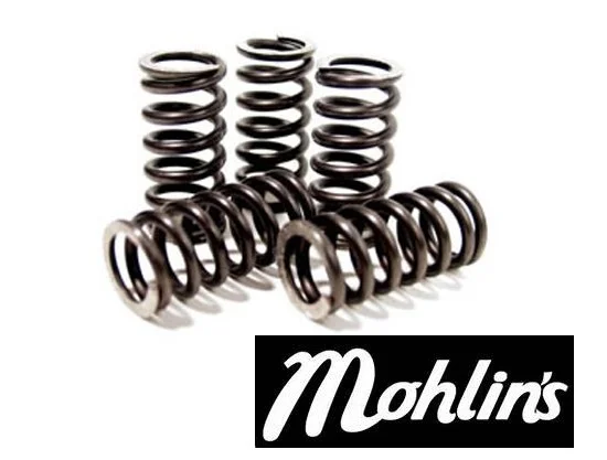 Kopplingsfjädrar (Racing) Malossi