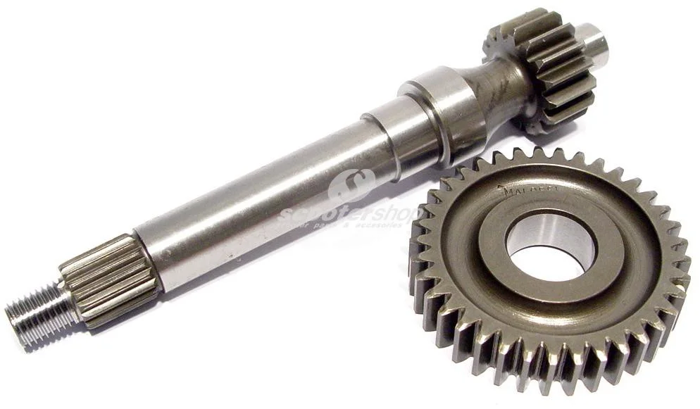 Malossi Primärdrev (16/37) 1:2,31