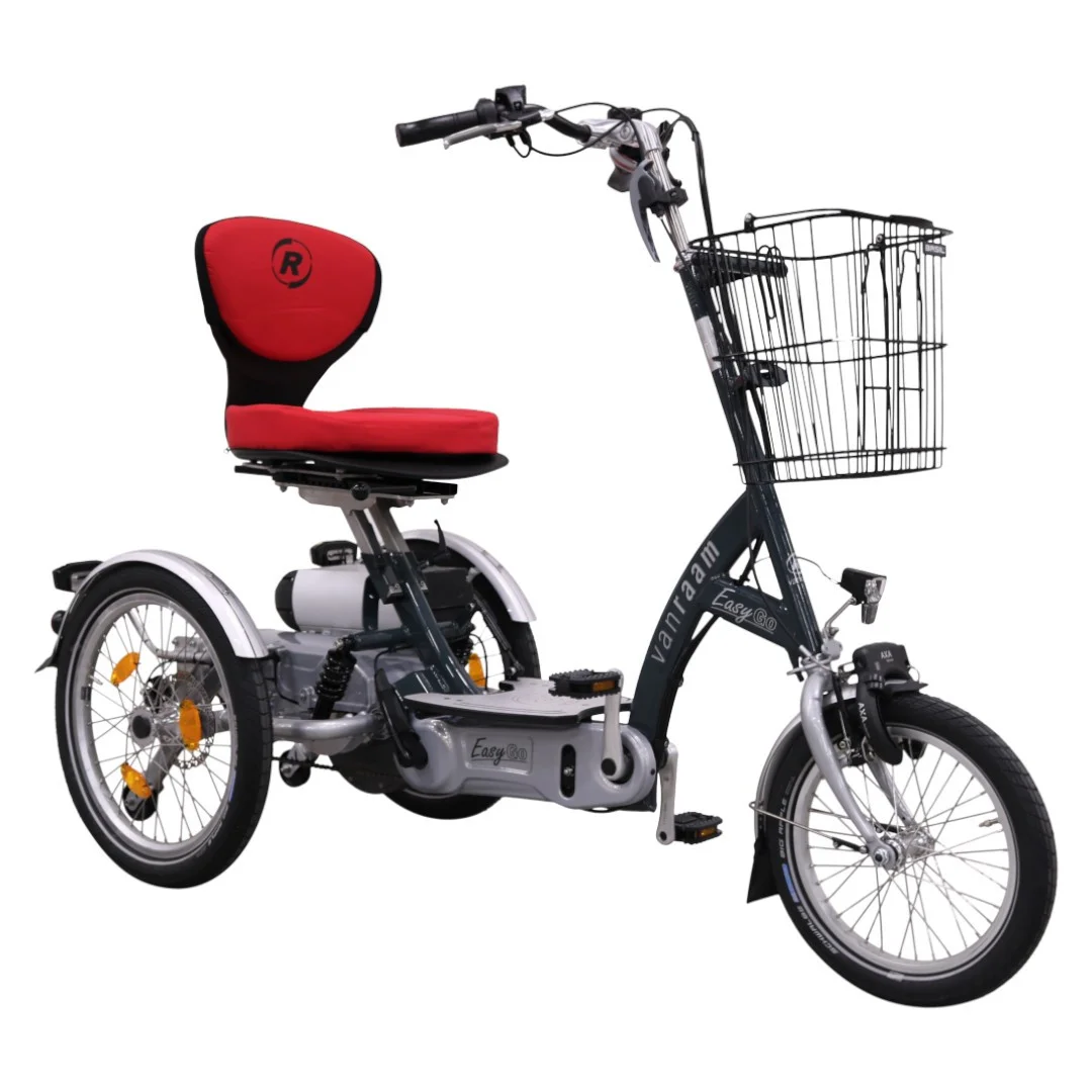 Van Raam Easy Go scooter bicycle