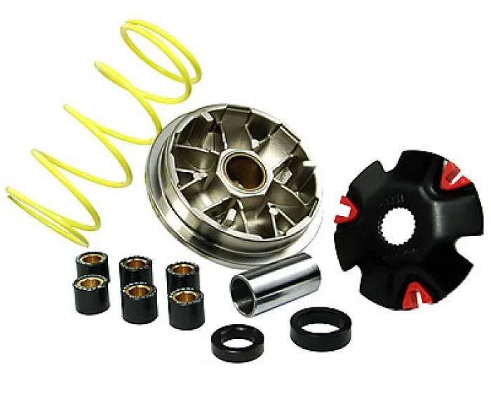 Variator, Malossi Multivar