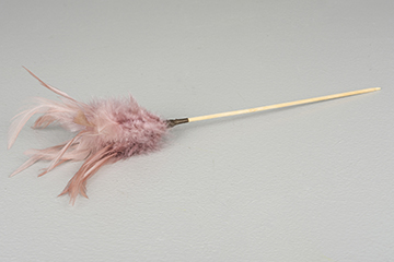 Old Pink on Stick - Feather Romance