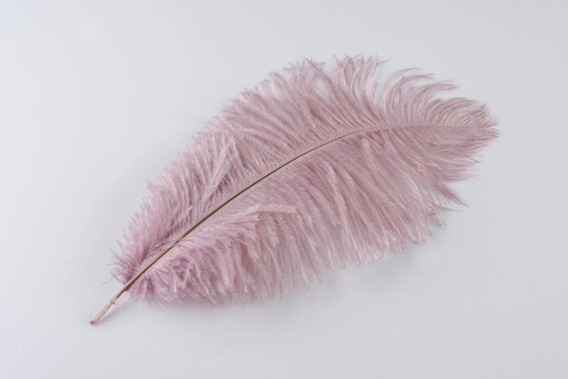 Old Pink Ostrich Plume - Feather Romance