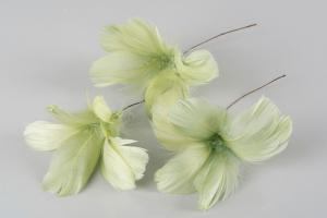 Lime Green Flower 12 st - Feather Romance