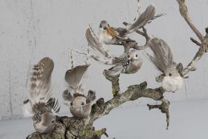 Brown Bird Mix 11 cm - Feather Romance