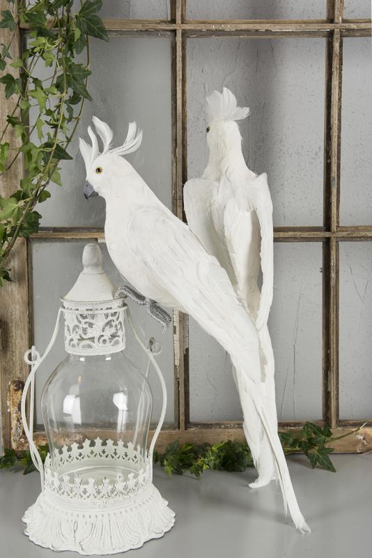 White Parrot Front 50 cm - Feather Romance