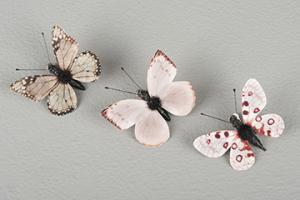Brown/Pink Clip Mix Butterfly 5 cm - Feather Romance