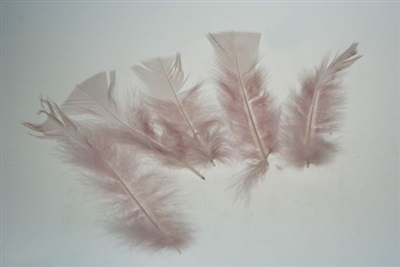 Old Pink Feathers - gammelrosa fjädrar 10 g