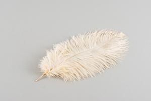Light Apricot Ostrich Plume - Feather Romance