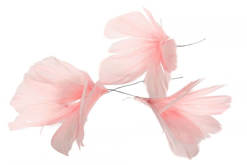 Pastel Pink Flower 12 st - Feather Romance