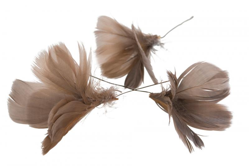 Light Taupe Flower 12 st - Feather Romance