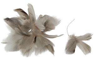 Zigzag Feather on String 12 st - Feather Romance