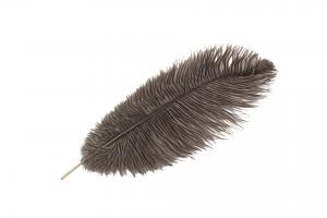 Taupe Ostrich Plume - Feather Romance