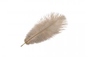 Nature / Taupe Ostrich Plume - Feather Romance