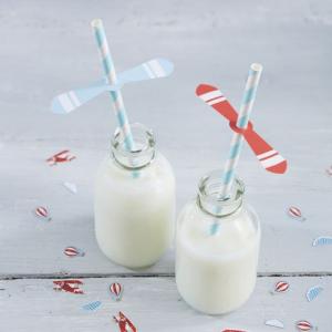 Propeller Paper Straws - Flying High