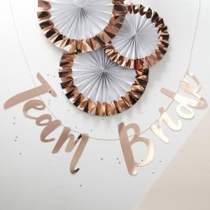 Rose Gold Hen Party Bunting Backdrop - Team Bride
