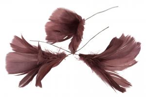 Burgundy Flower 12 st - Feather Romance