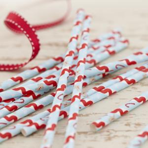 Vintage Christmas Paper Straws - Vintage Noel