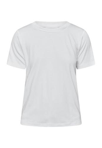 Pidan Tee
