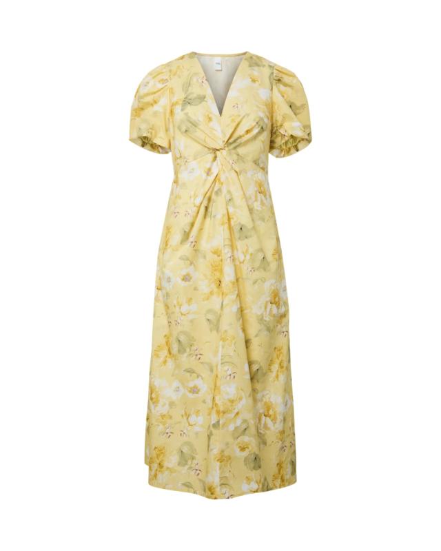 Stray Dress