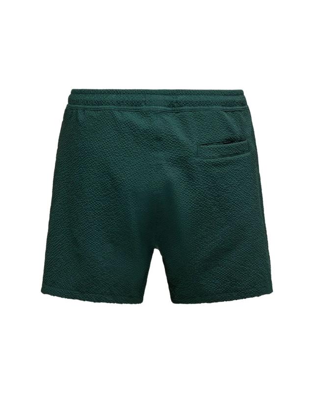 Ted Badshorts