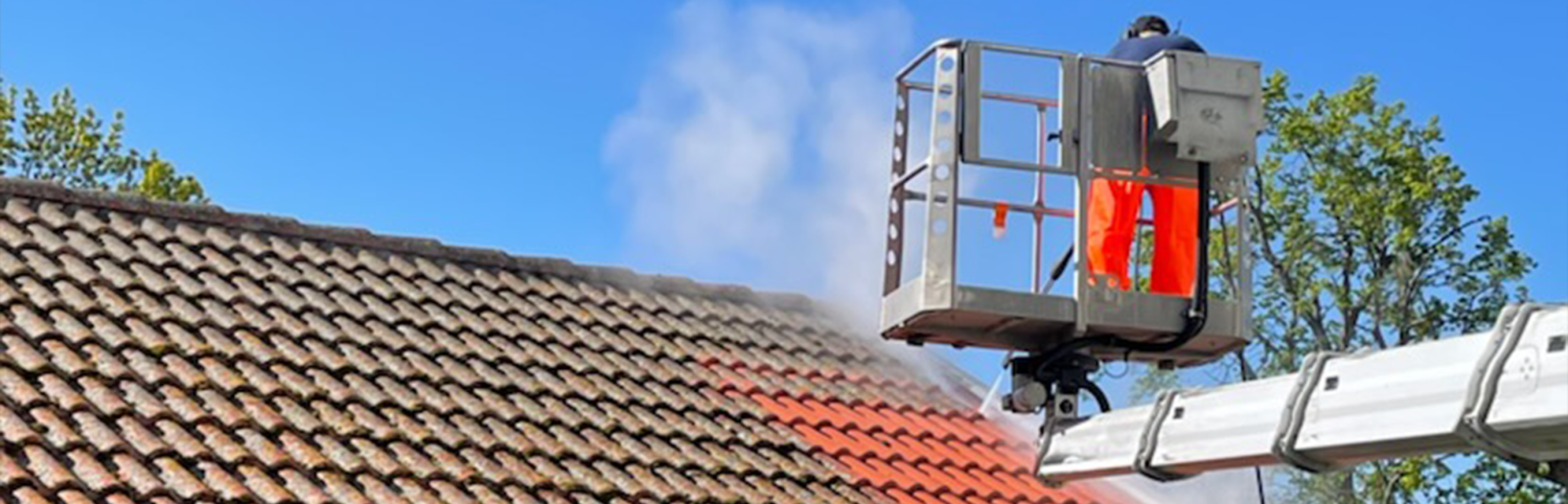 Roof & Facade washing
