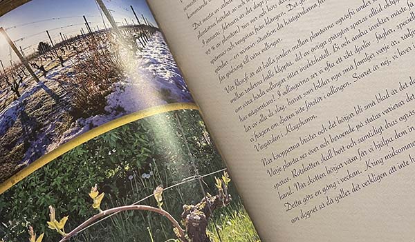 Att leva vår dröm - Vingården i Klagshamn