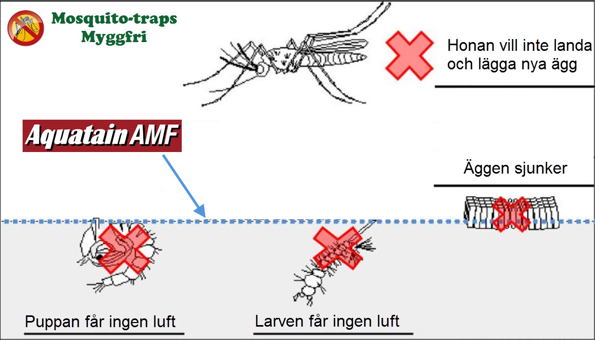 aquatain-amf-hur-det-funkar