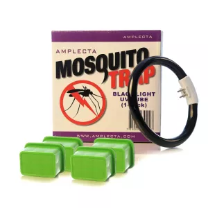 Summer Consumption AMT100