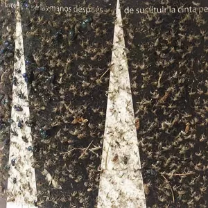 skeetervac-tac-trap-mygg