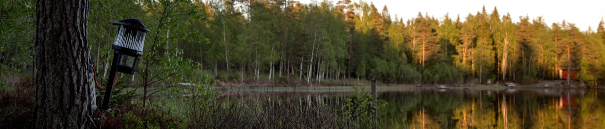 Ställ ut din myggdödare mosquito-trap-placement