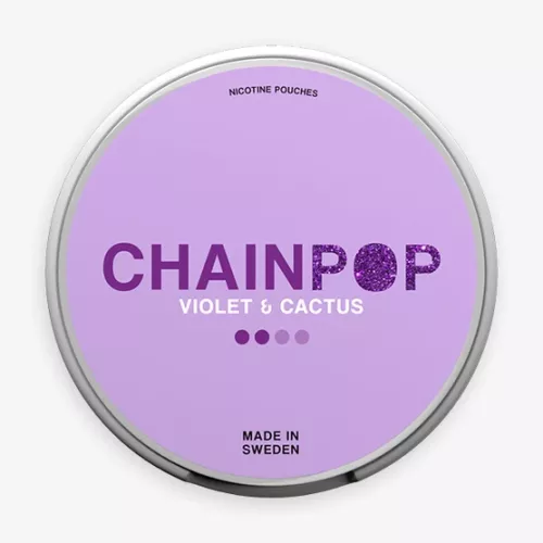 Chainpop Violet Cactus