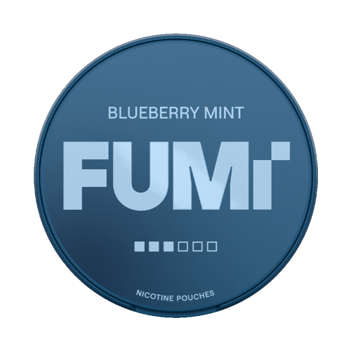 Fumi Blueberry Mint 8mg