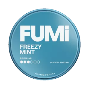 Fumi Freezy Mint Regular